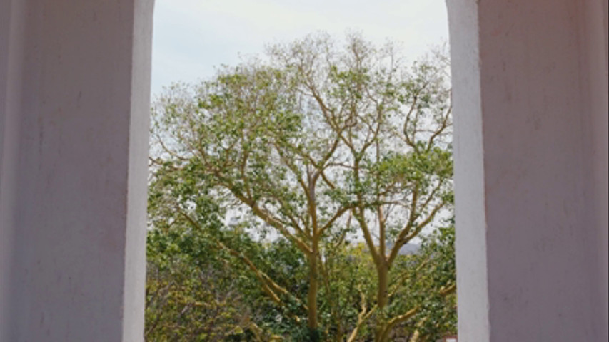 Decoración 