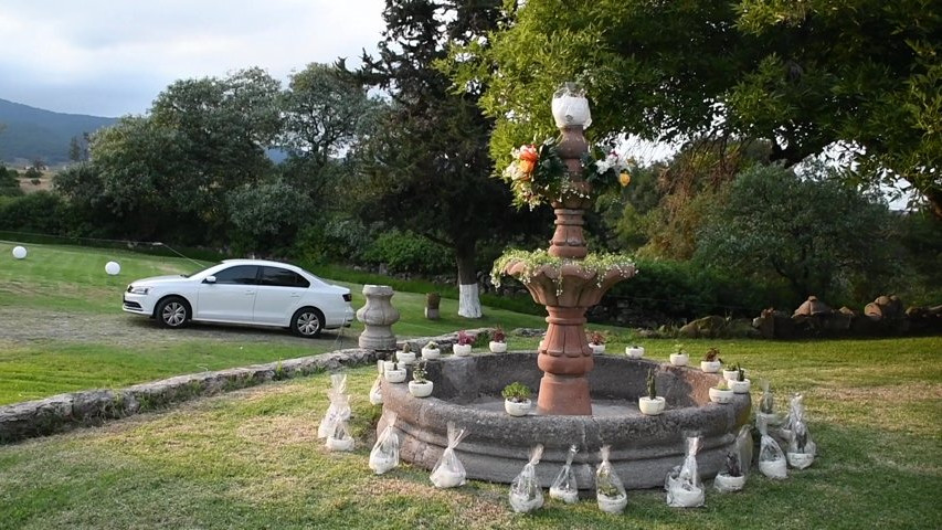 Vive una hacienda