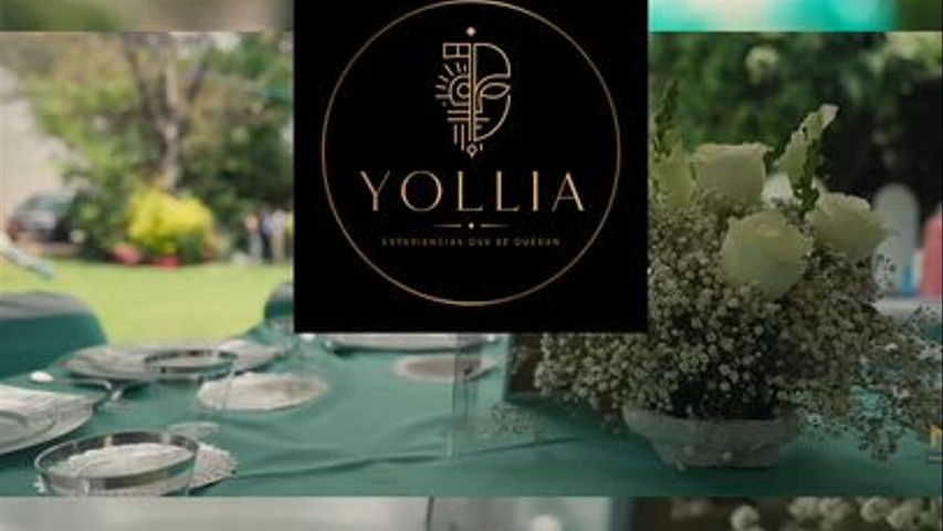 ¿Cómo se ve Yollia?